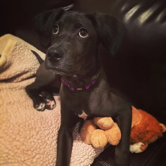 MONSTER // i'm so big already, i can't even fit in my insta square!