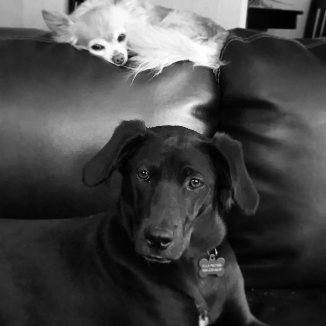 EMOTIONAL MOM MOMENT // look! they're almost touching!