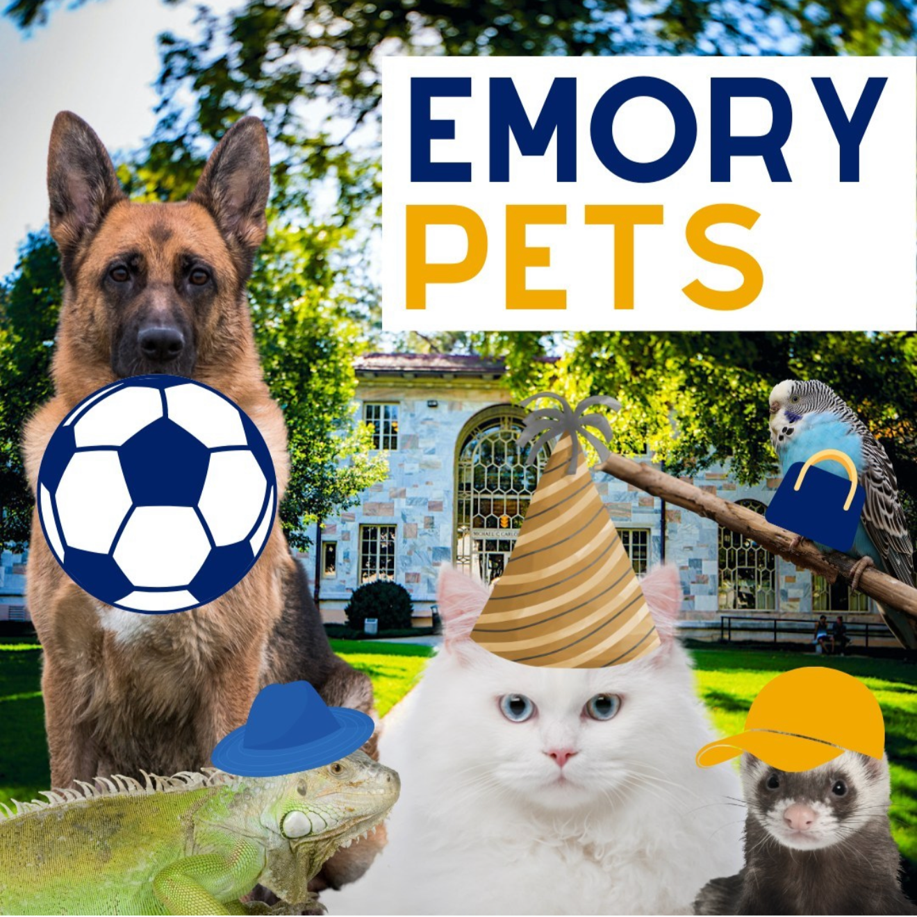 Screenshot 2026-03-08 at 20.10.55.png