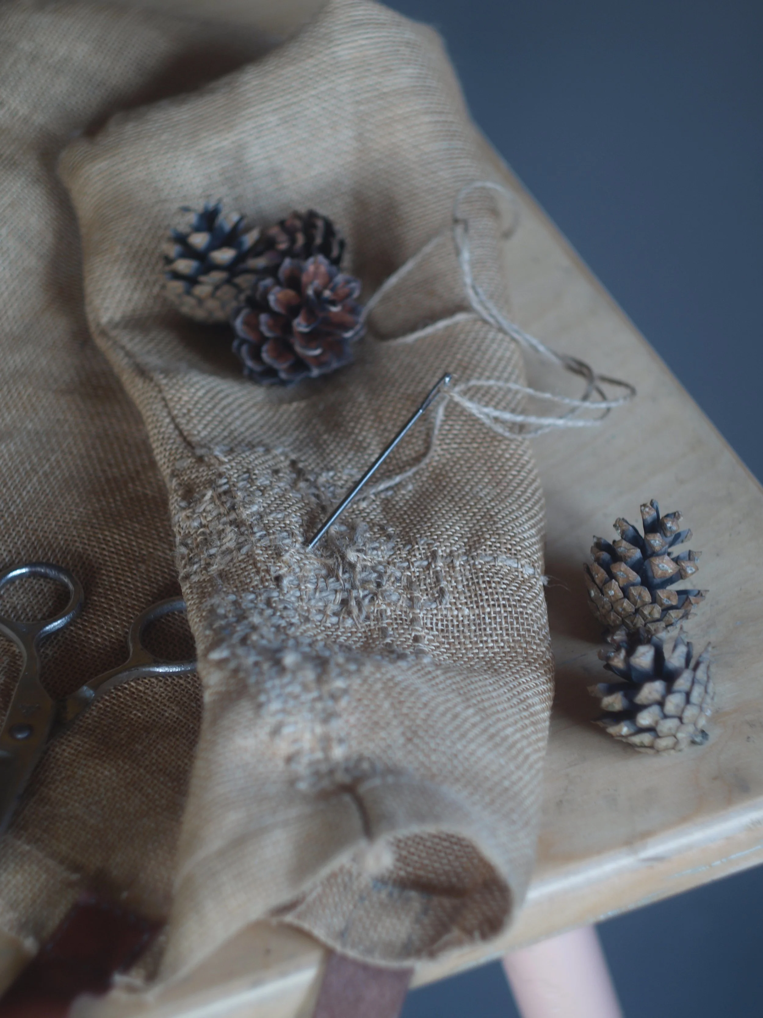 Avatud talude päev: paranduskohvik