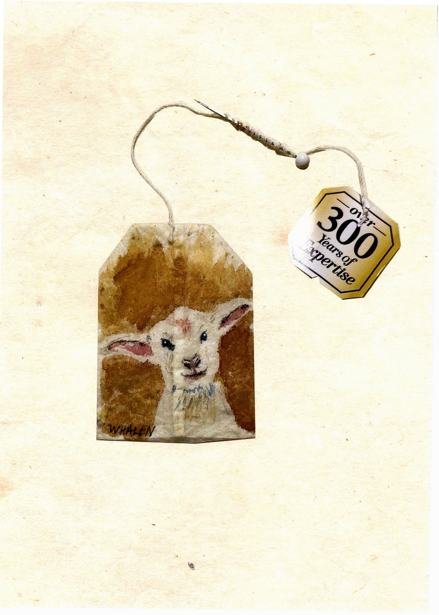 lambykins