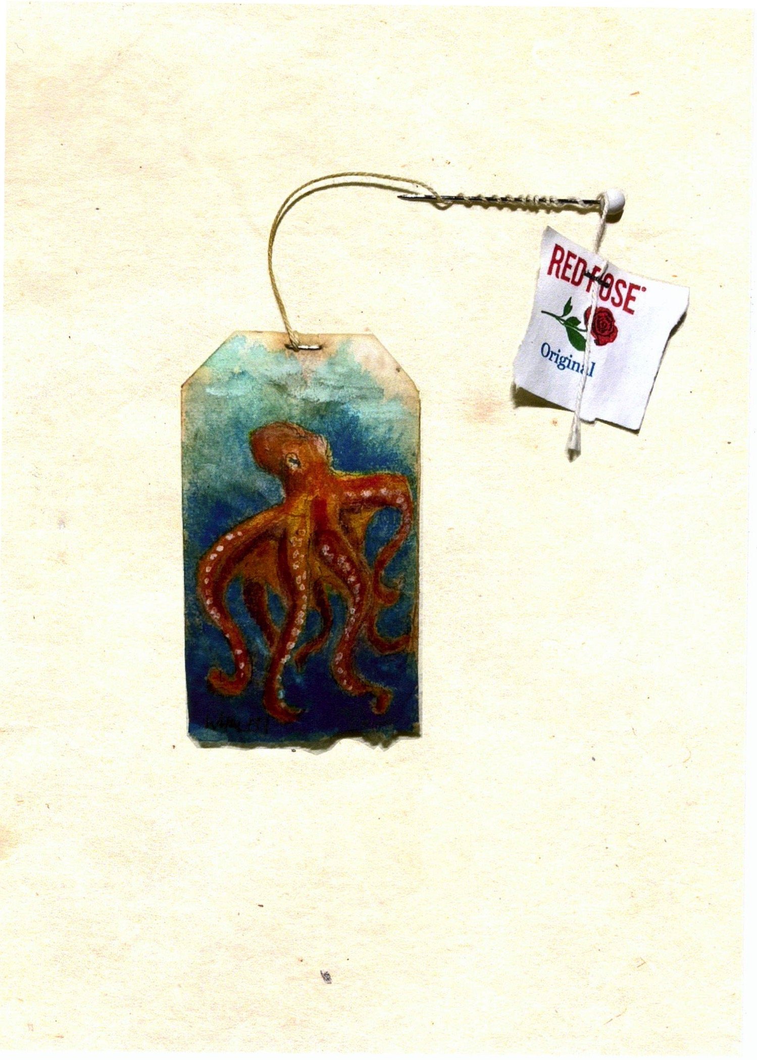 Octopus