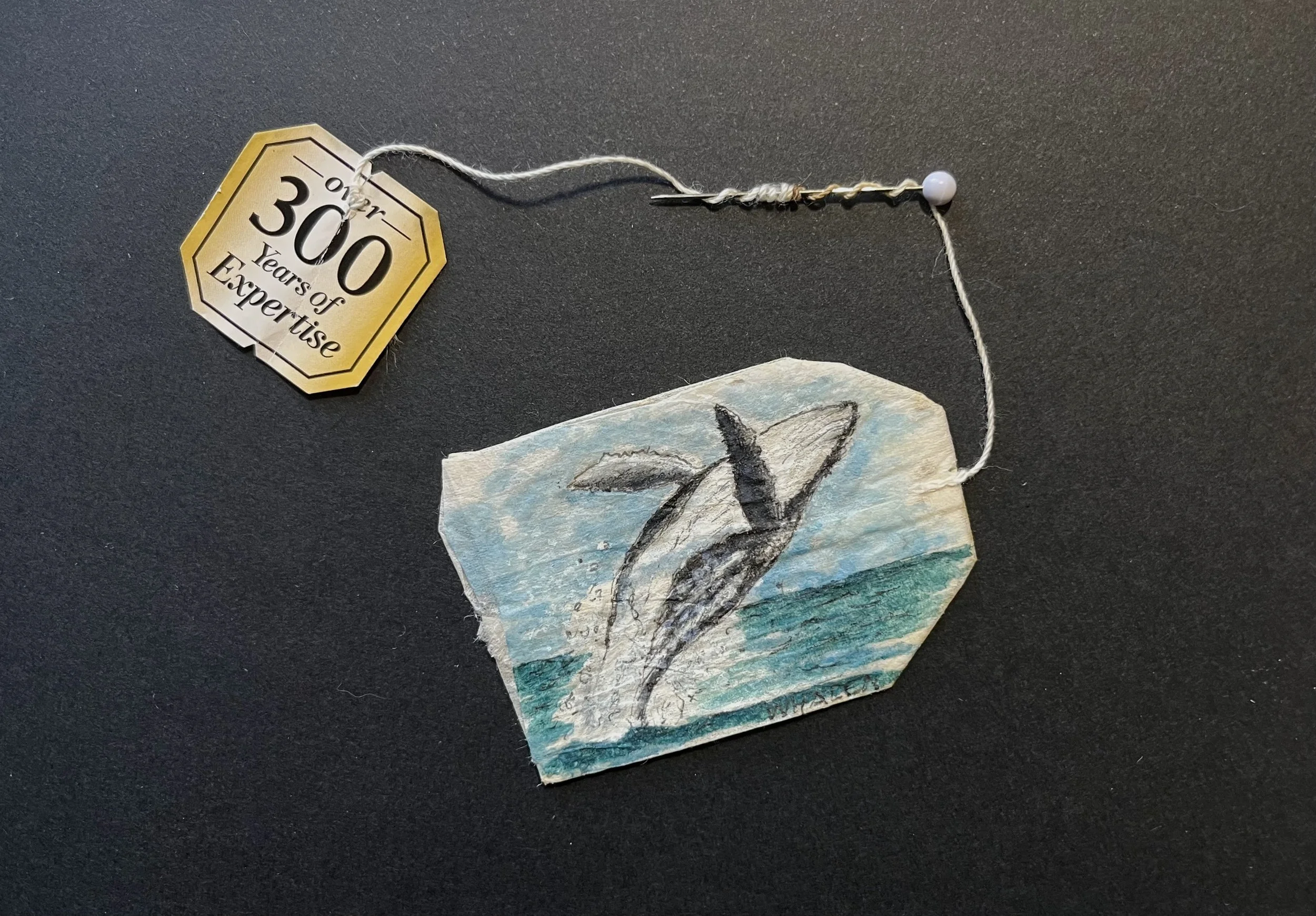 Whale 5x7.jpeg