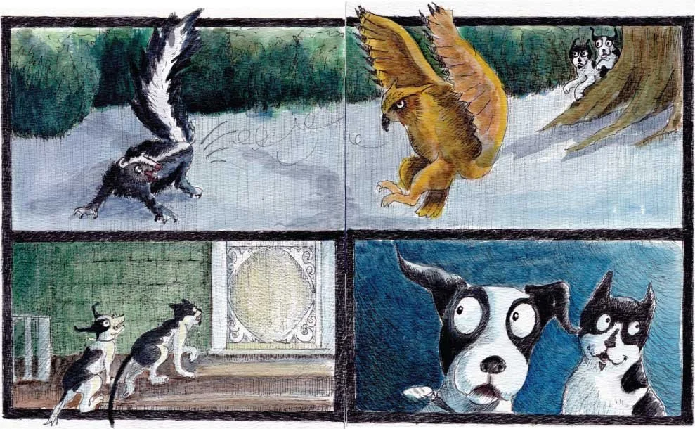 The Skunk and the Owl
