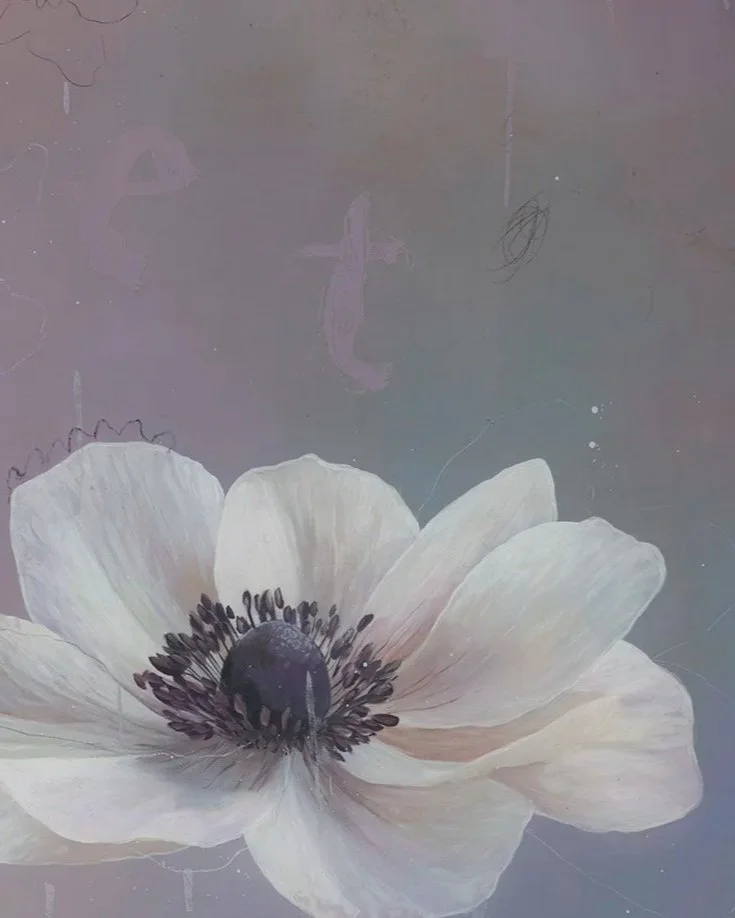A close-up of a white anemone flower with dark center and black stamens