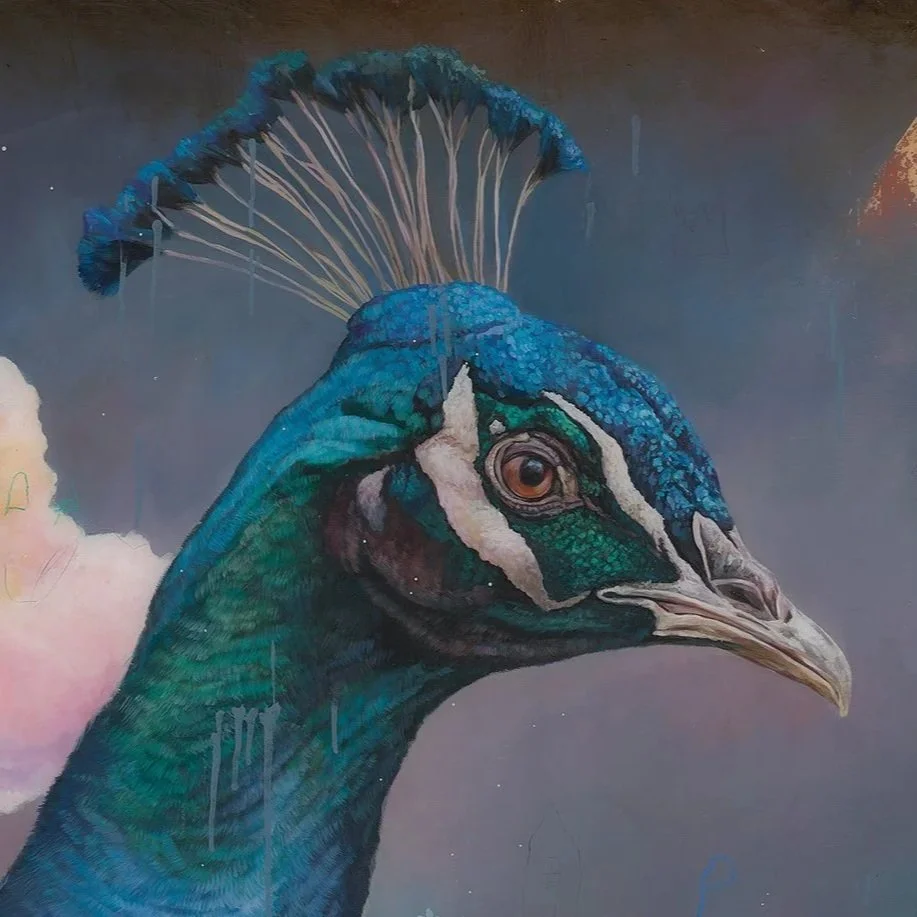 Close-up of a peacock's head and upper neck, highlighting vibrant blue, green, and black feathers with a crest of feathers on top.