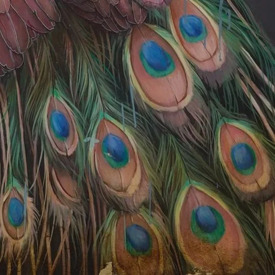 Close-up view of peacock feathers with vibrant blue, green, and brown eye patterns.