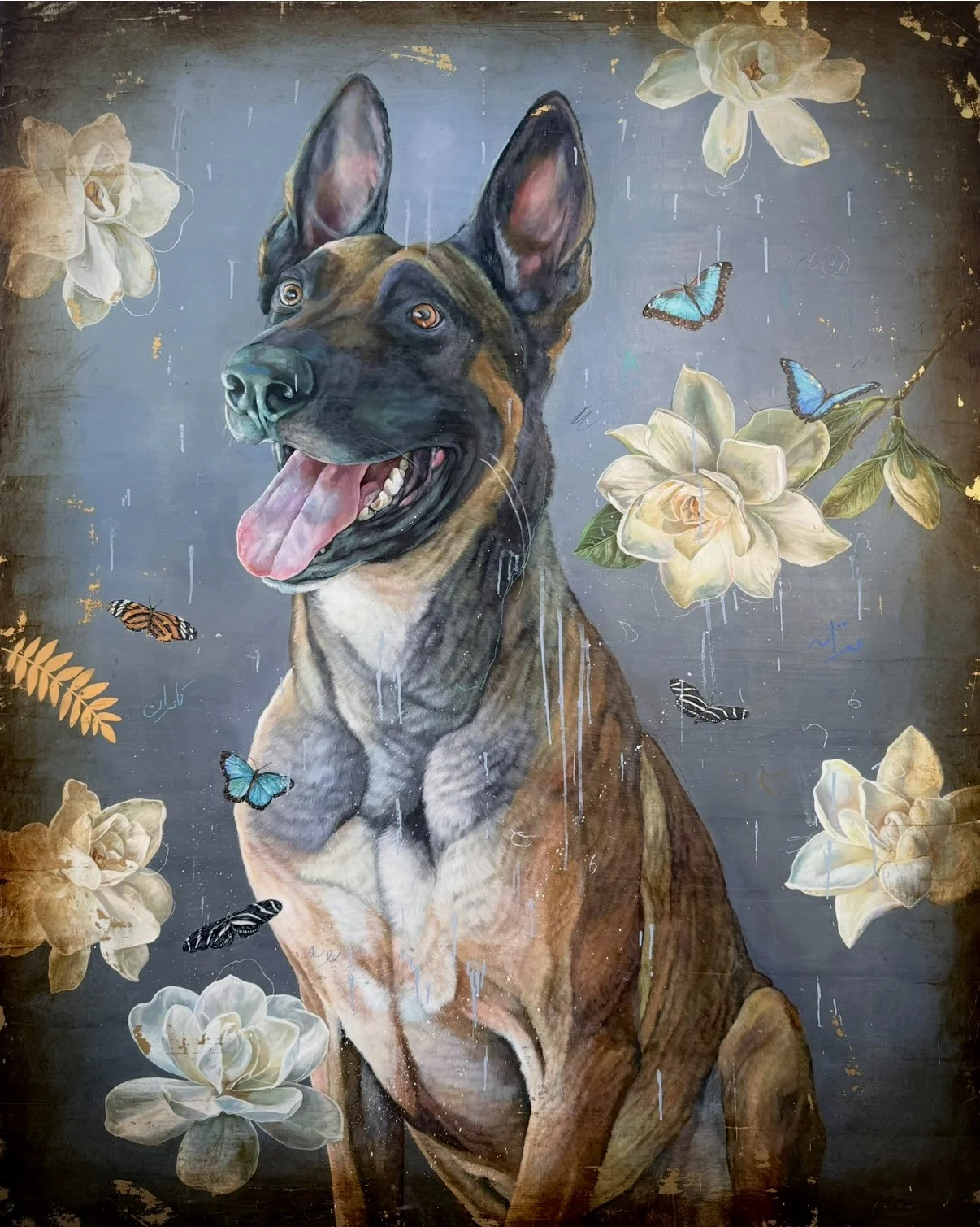 A painting of a happy, alert Belgian Malinois dog surrounded by white flowers and colorful butterflies on a dark background.