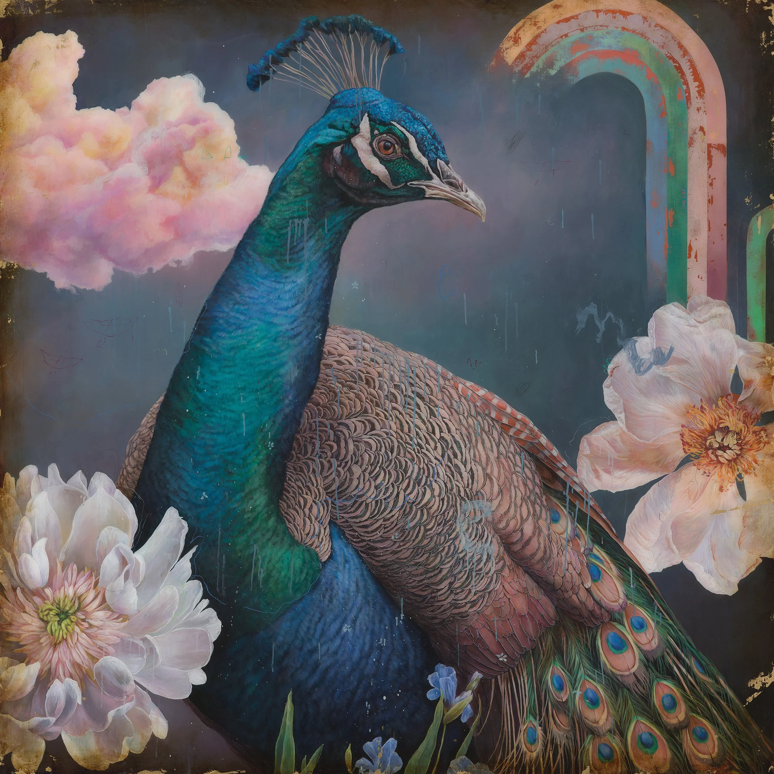 Last American Beauty