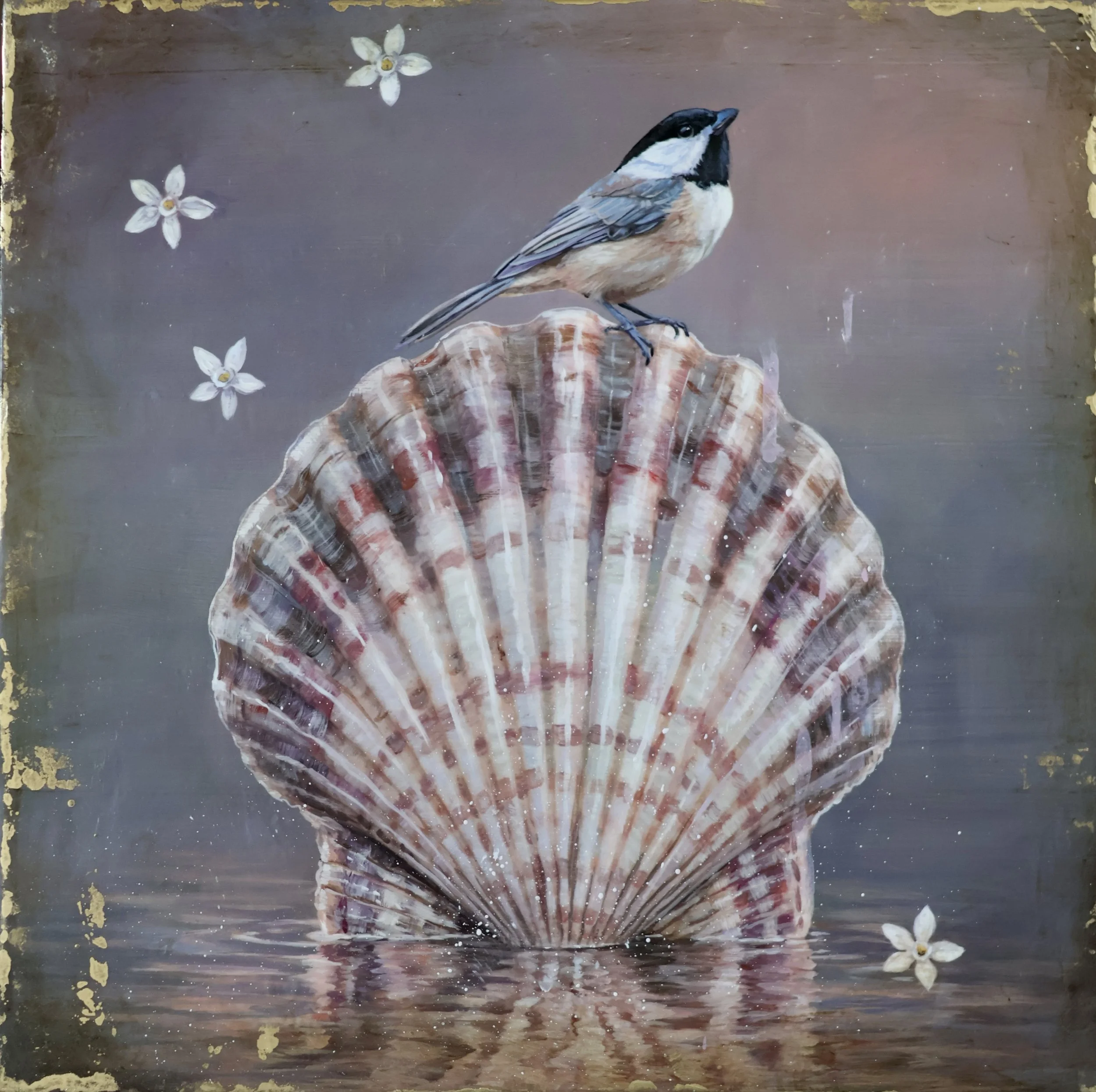 small bird on shell
