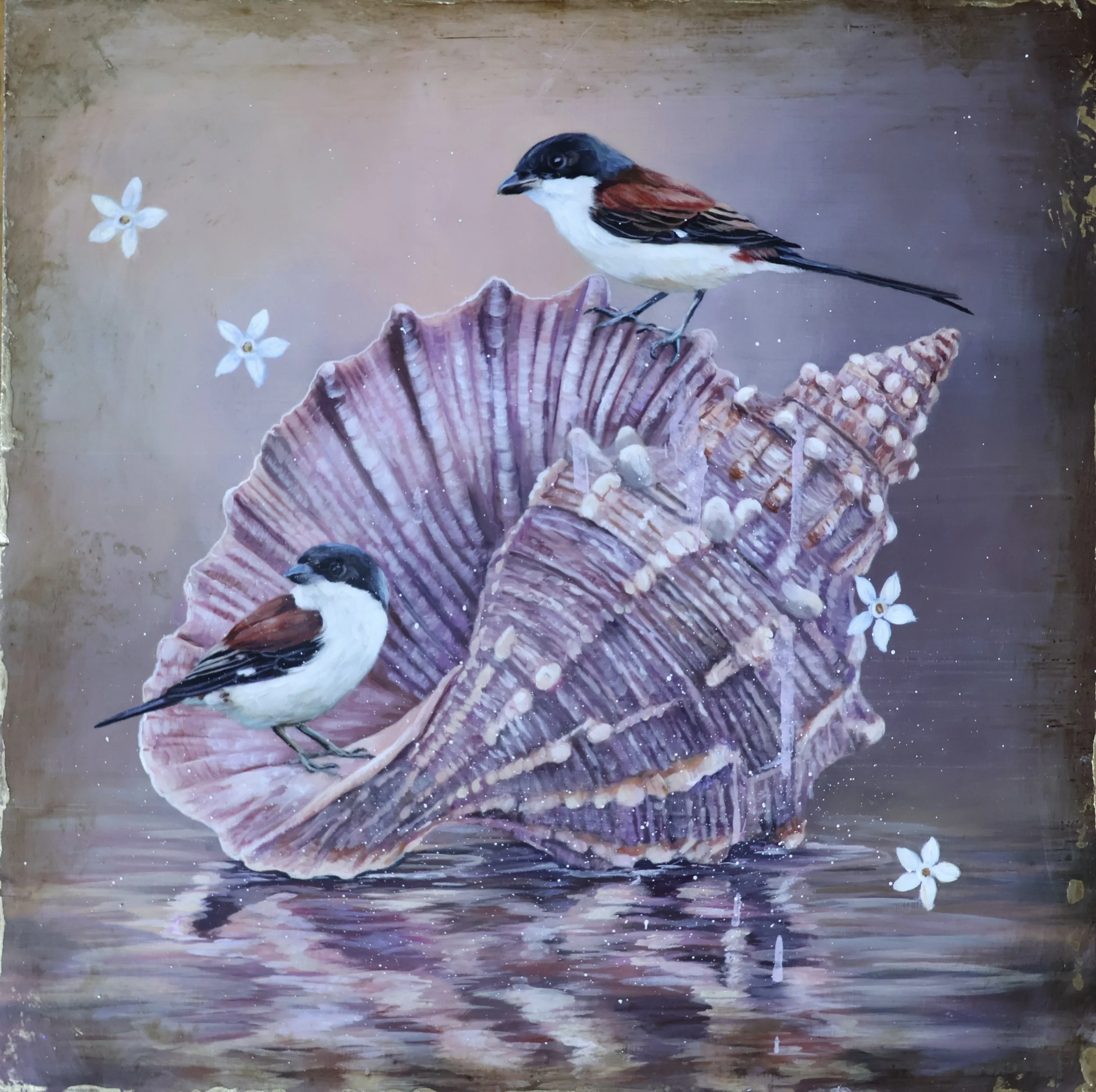 two little birds on a shell
