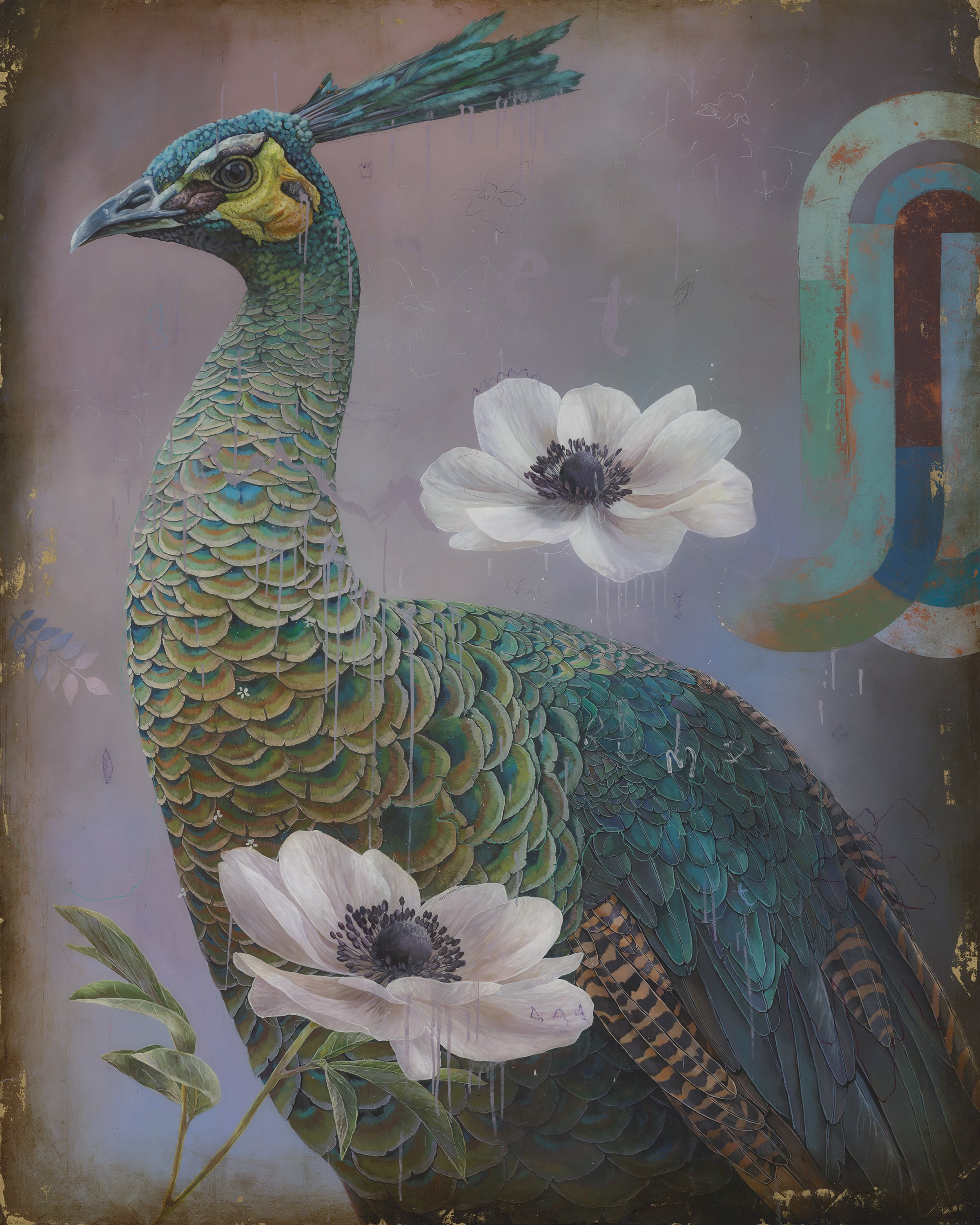 A colorful mural of a peacock with detailed feathers, accompanied by white anemone flowers with dark centers, painted on a textured wall.