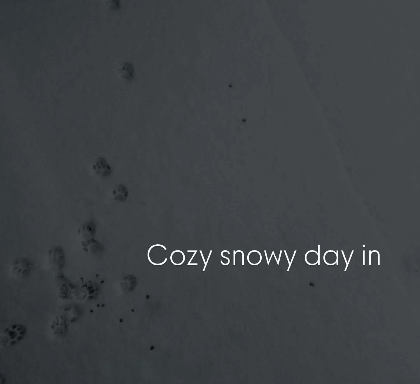 What your esthetician does on a snowy Monday off❄️ 
if you&rsquo;re ever wondering why I love staying home sm🤝