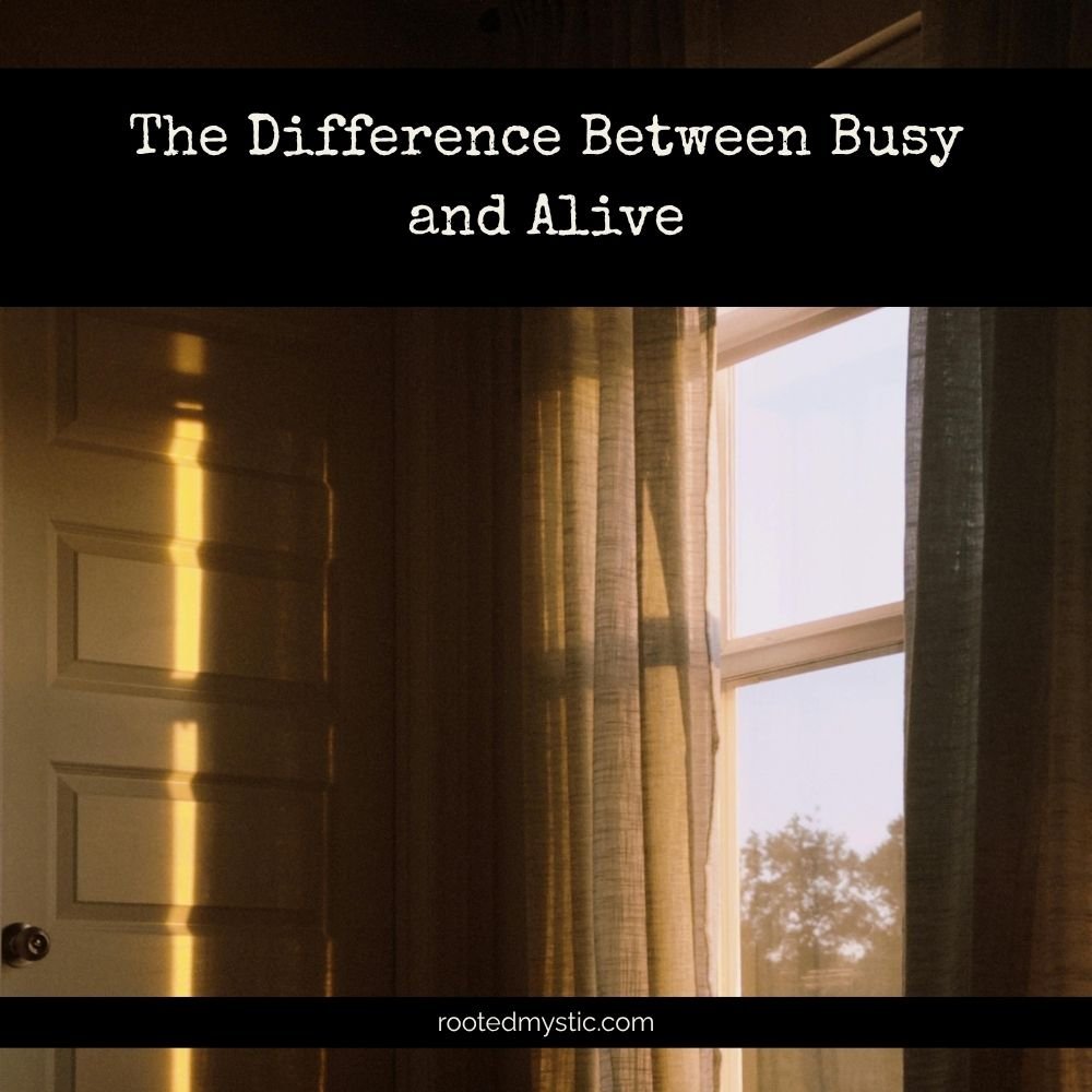 Sun at golden hour shining softly into room. Says "The difference between busy and alive"