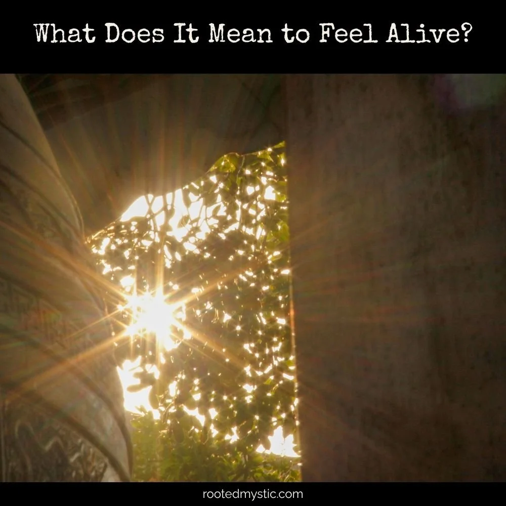 What Does It Mean to Feel Alive?