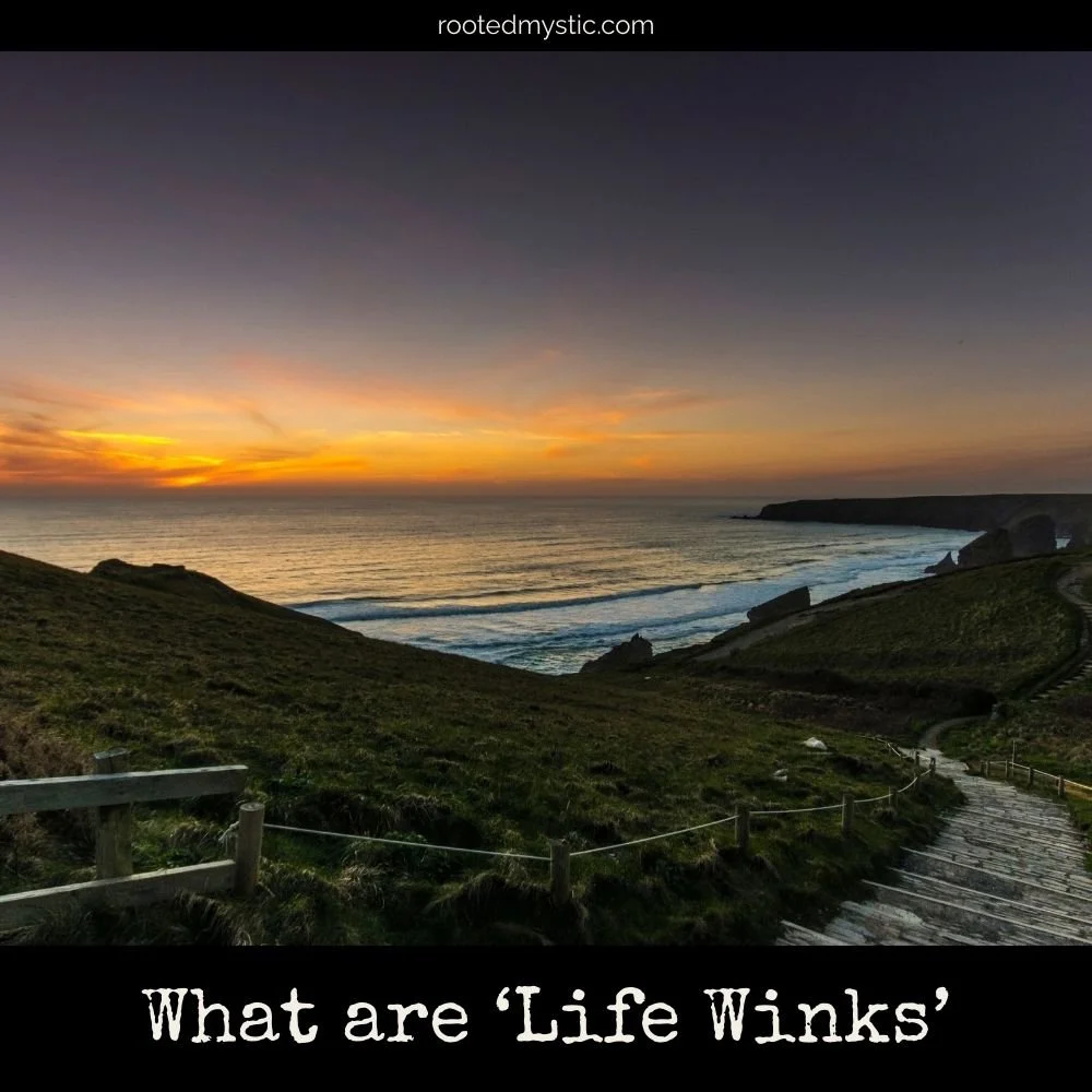 What are ‘Life Winks’?