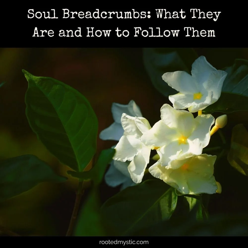 Soul Breadcrumbs: What They Are and How to Follow Them
