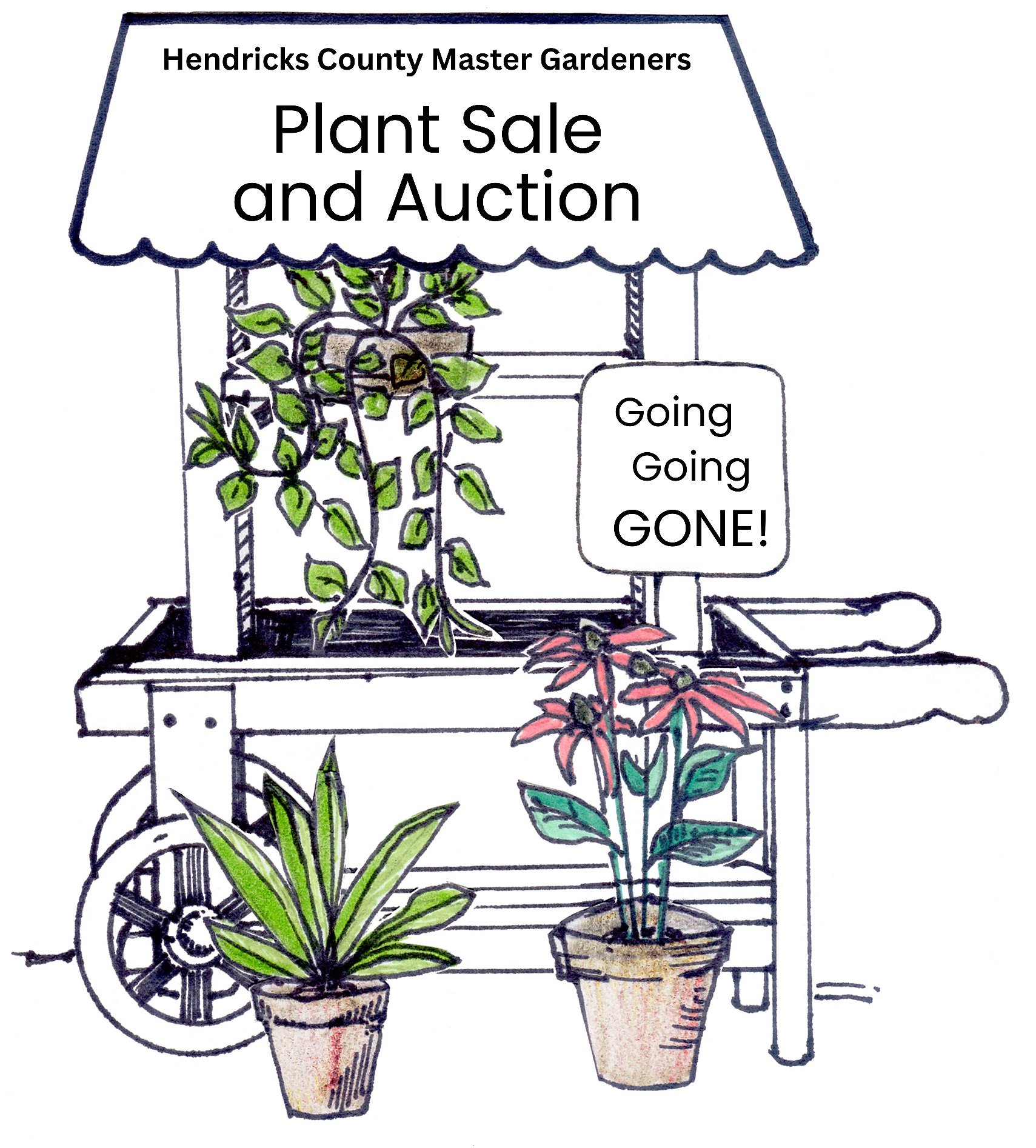 HCMG Plant Sale
