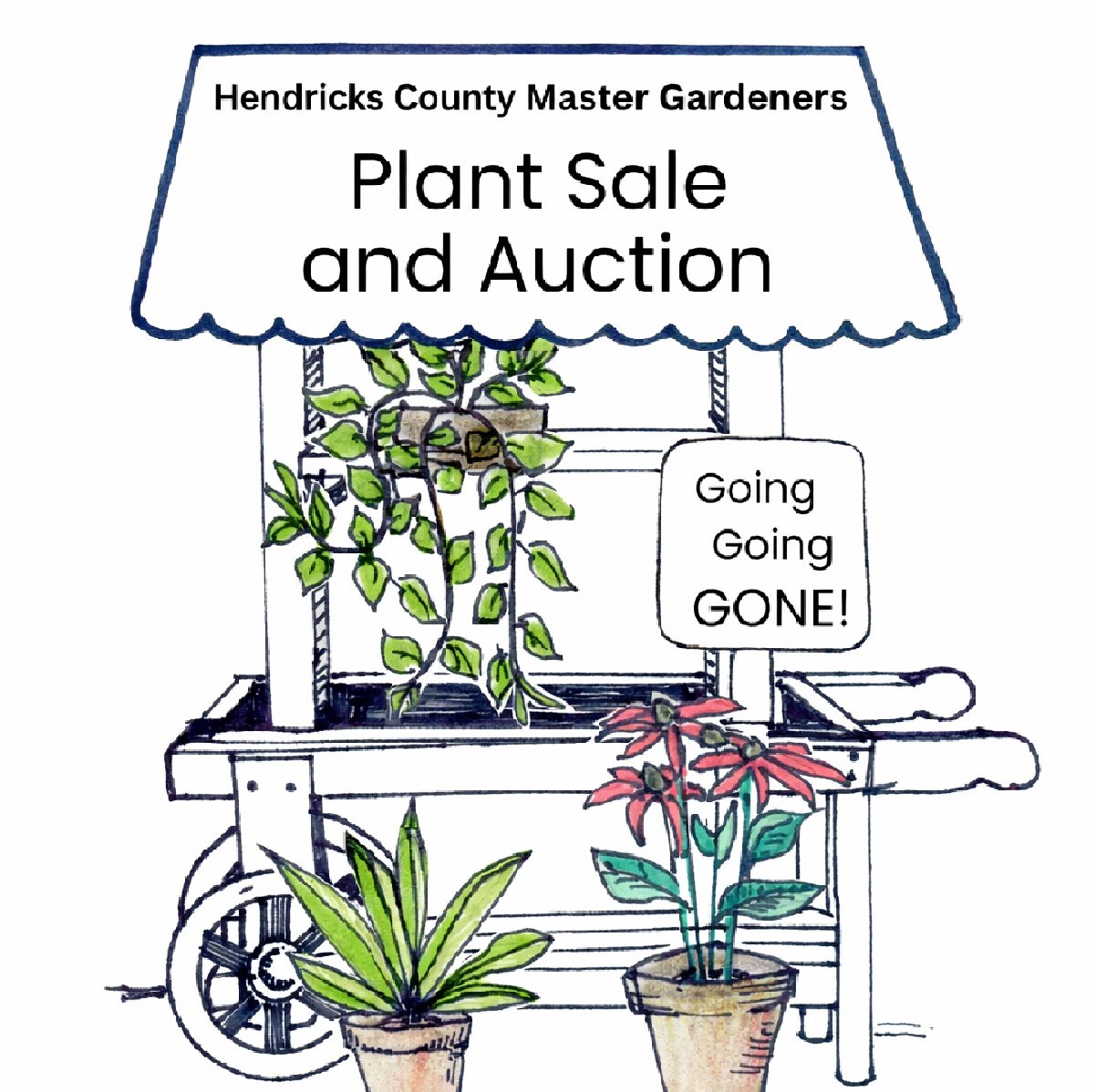 HCMG Plant Sale (2026)