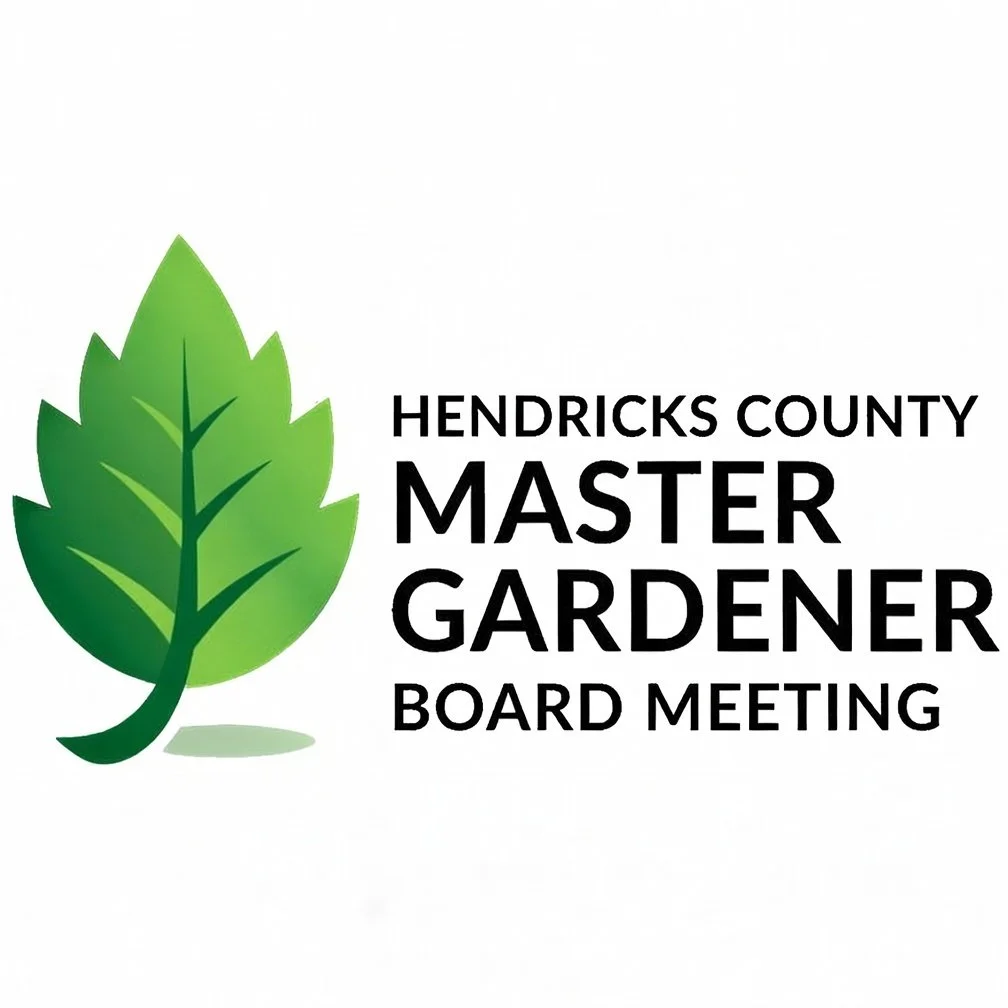 HCMG Board Meeting (FEB)