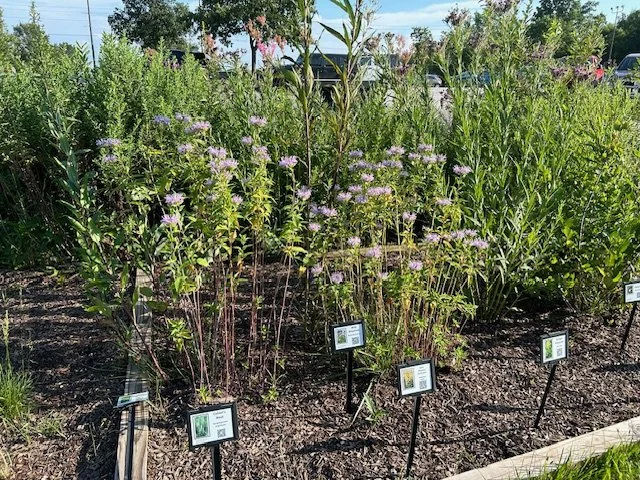 New plant identifier signs were added.