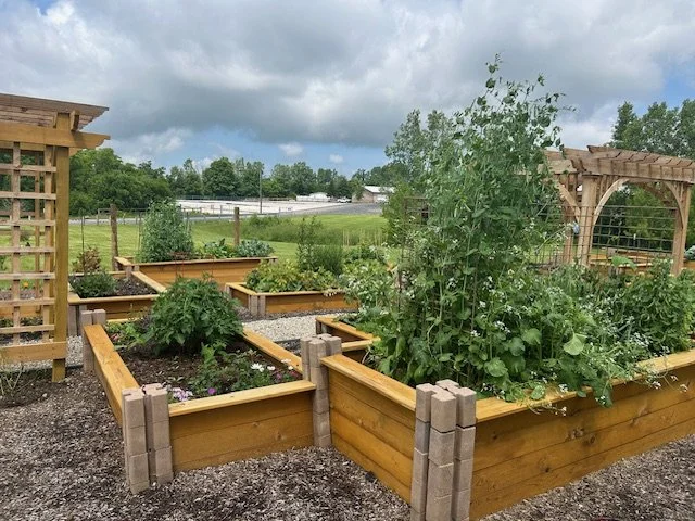 Demo Raised Bed 1    6 2025.jpg