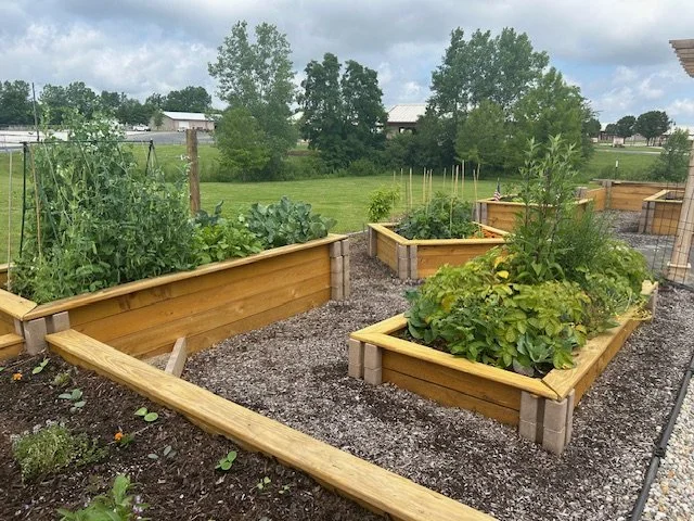 Raised Beds 3   6 2025.jpg