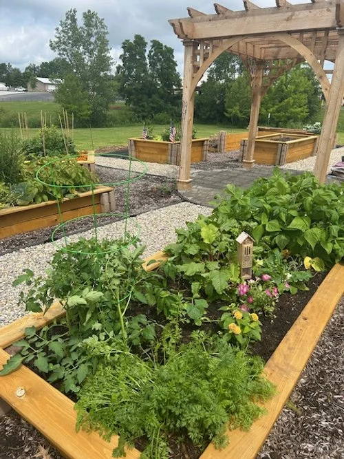 Demo Raised Bed 4    6 2025.jpg