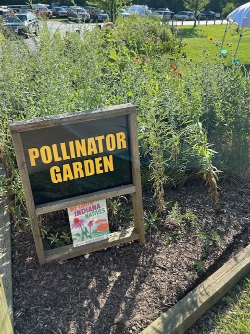 The Pollinator team cleaned last year's dried plants, left for the winter to house bugs.
