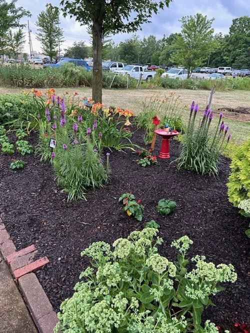The Entrance Garden received a makeover; landscaping was trimmed, colorful annuals & perennials were added, and containers were repainted.