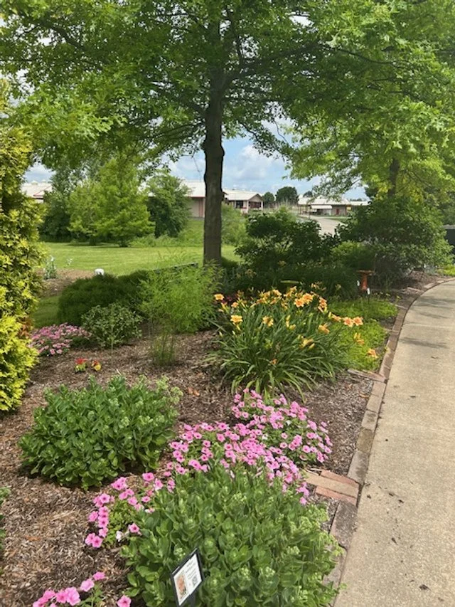 Entrance Garden 5   6 2025.jpg