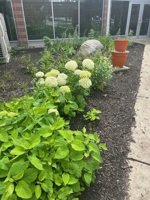 Cubbyhole 1    6 2025.jpg