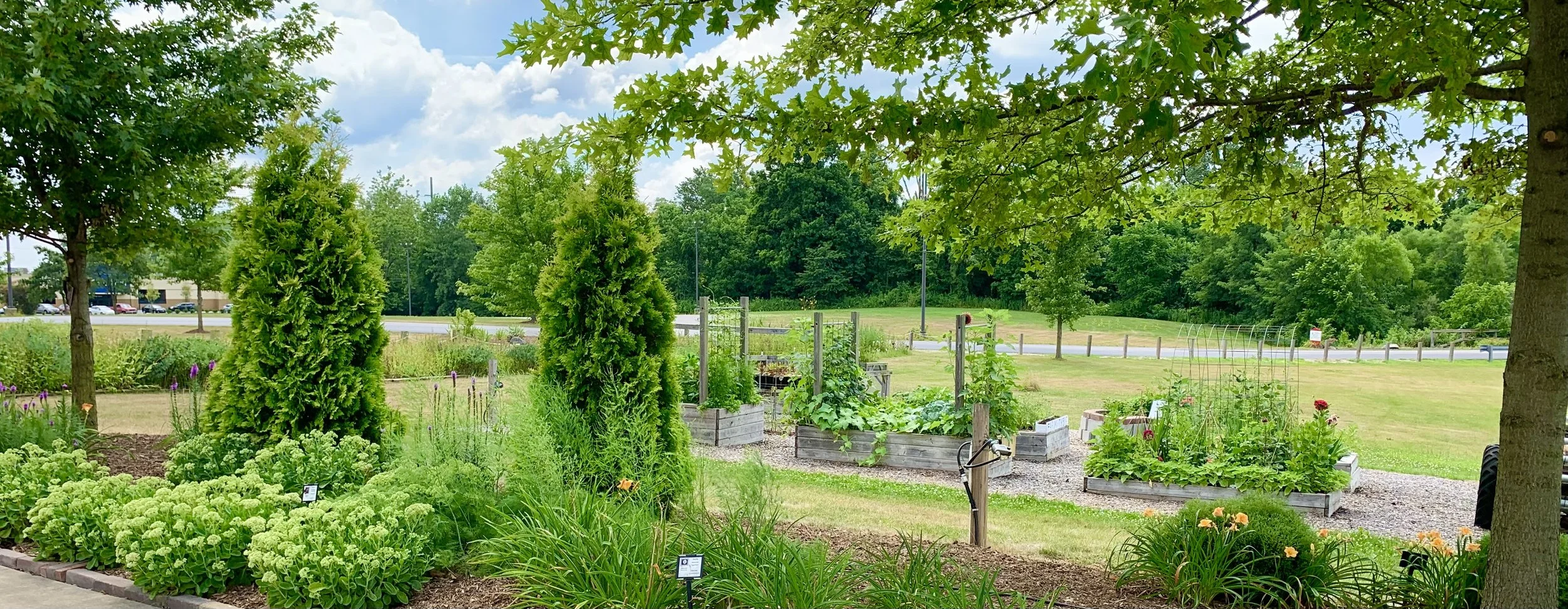 demo pano 6 2022.jpg