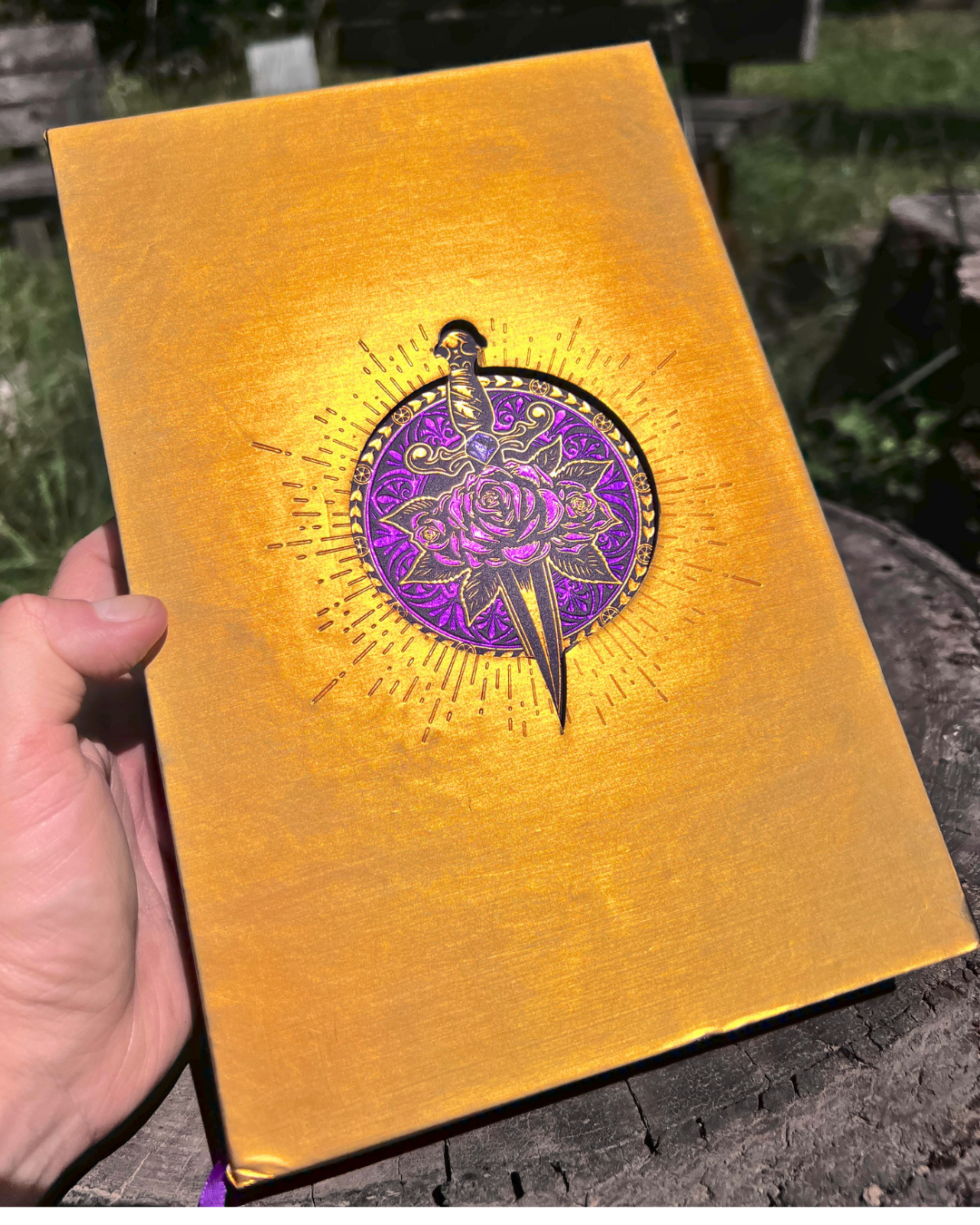 CS Collector 3 slipcase front.png
