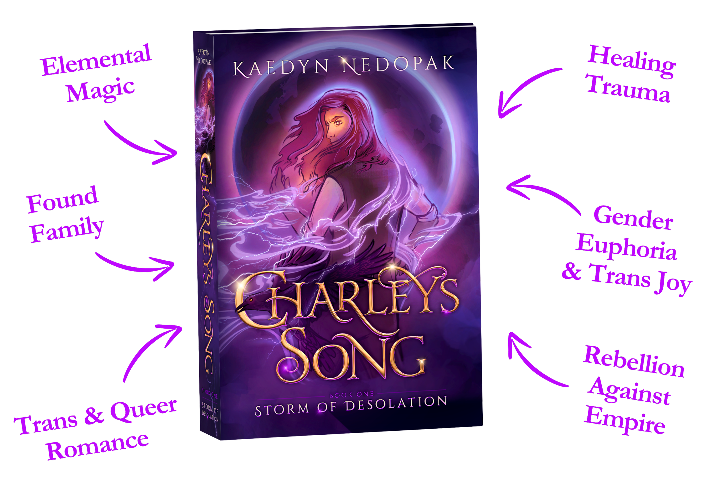 Charley's Song paperback book with tropes listed