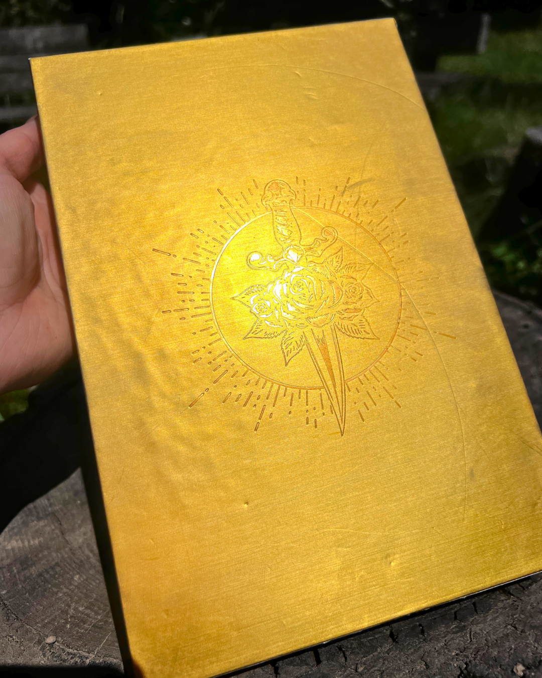 CS Collector 4 slipcase back.png