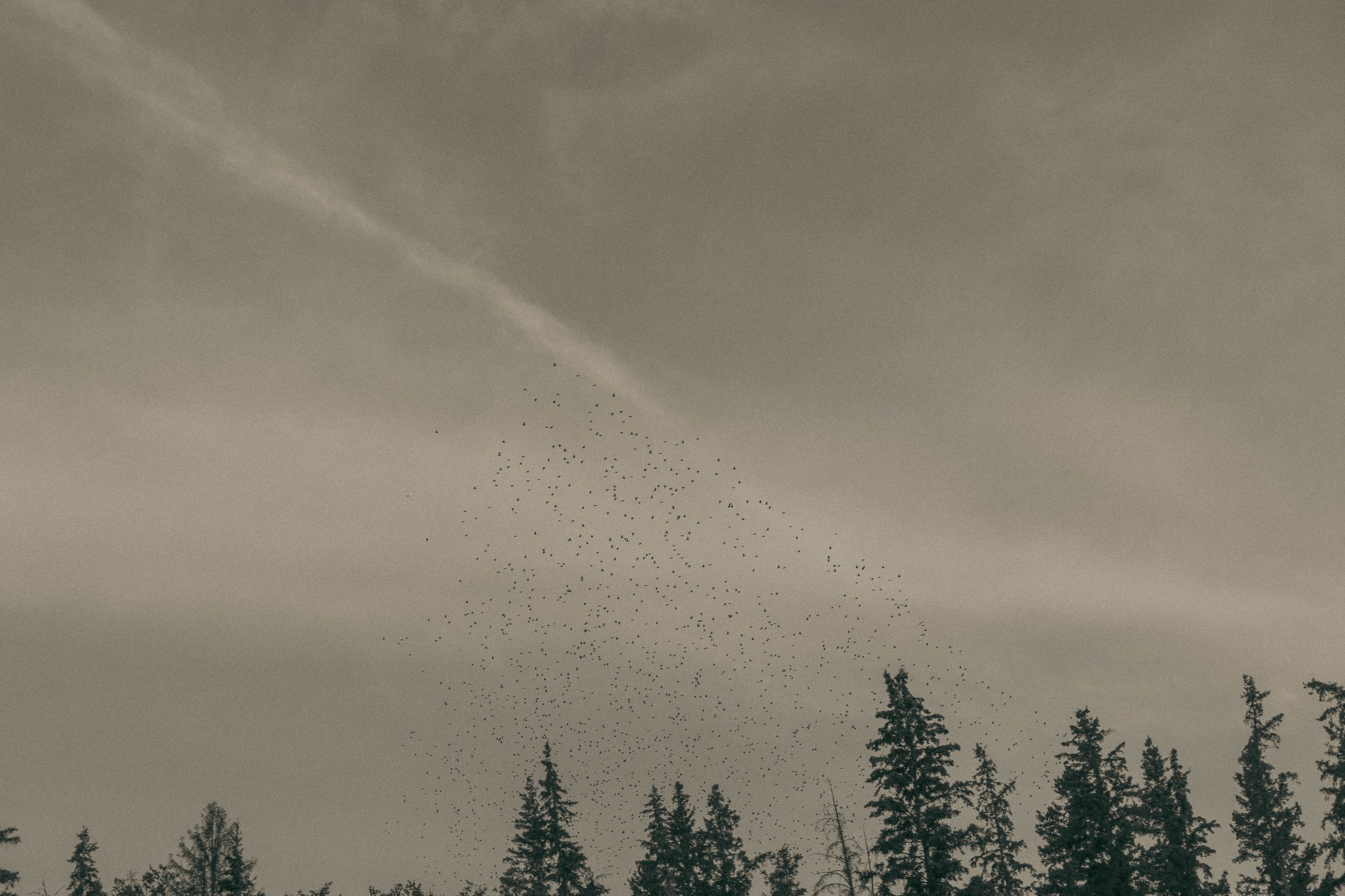 georgia abigail photo-426.jpg