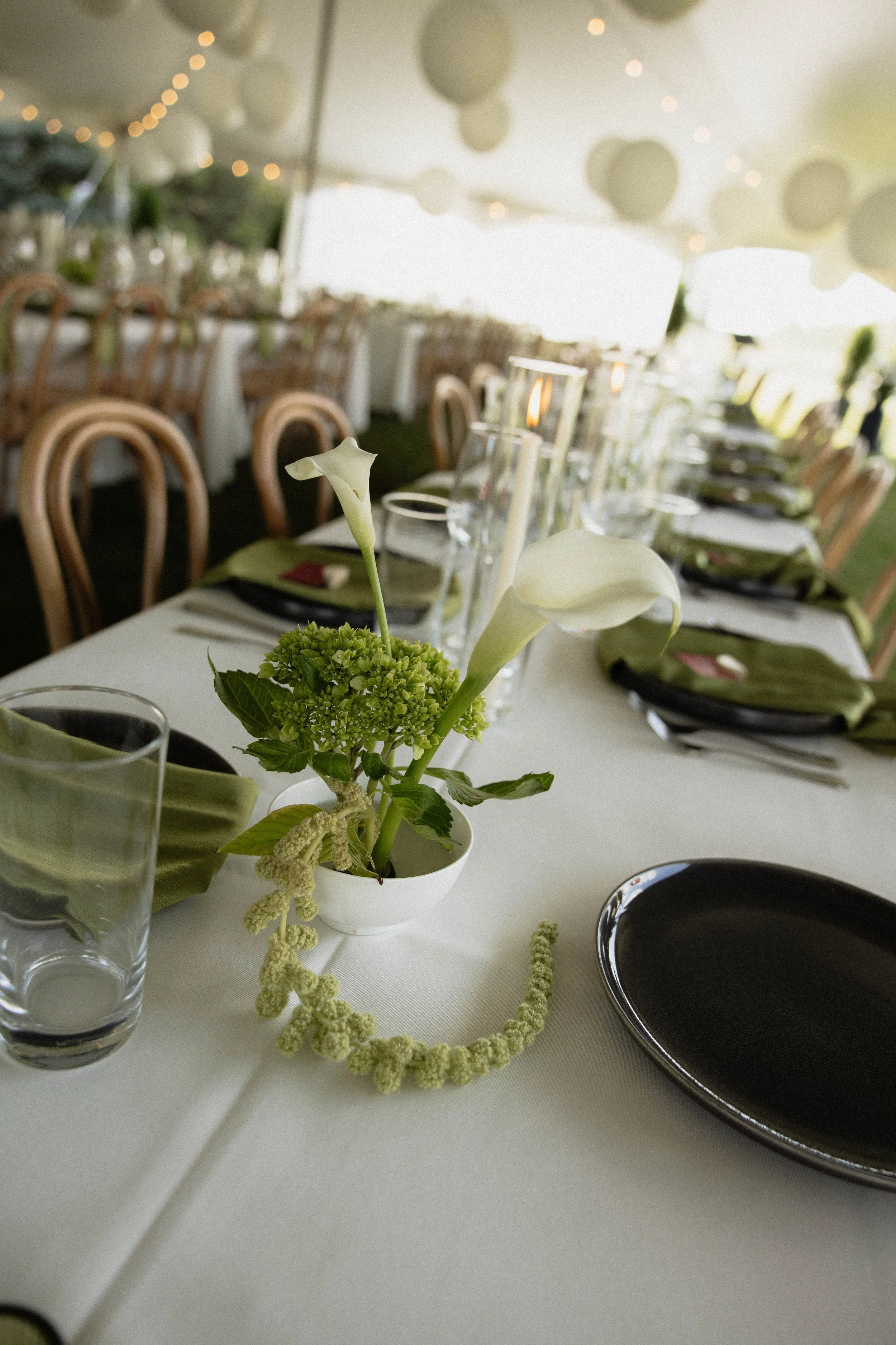 georgia abigail photo-217.jpg