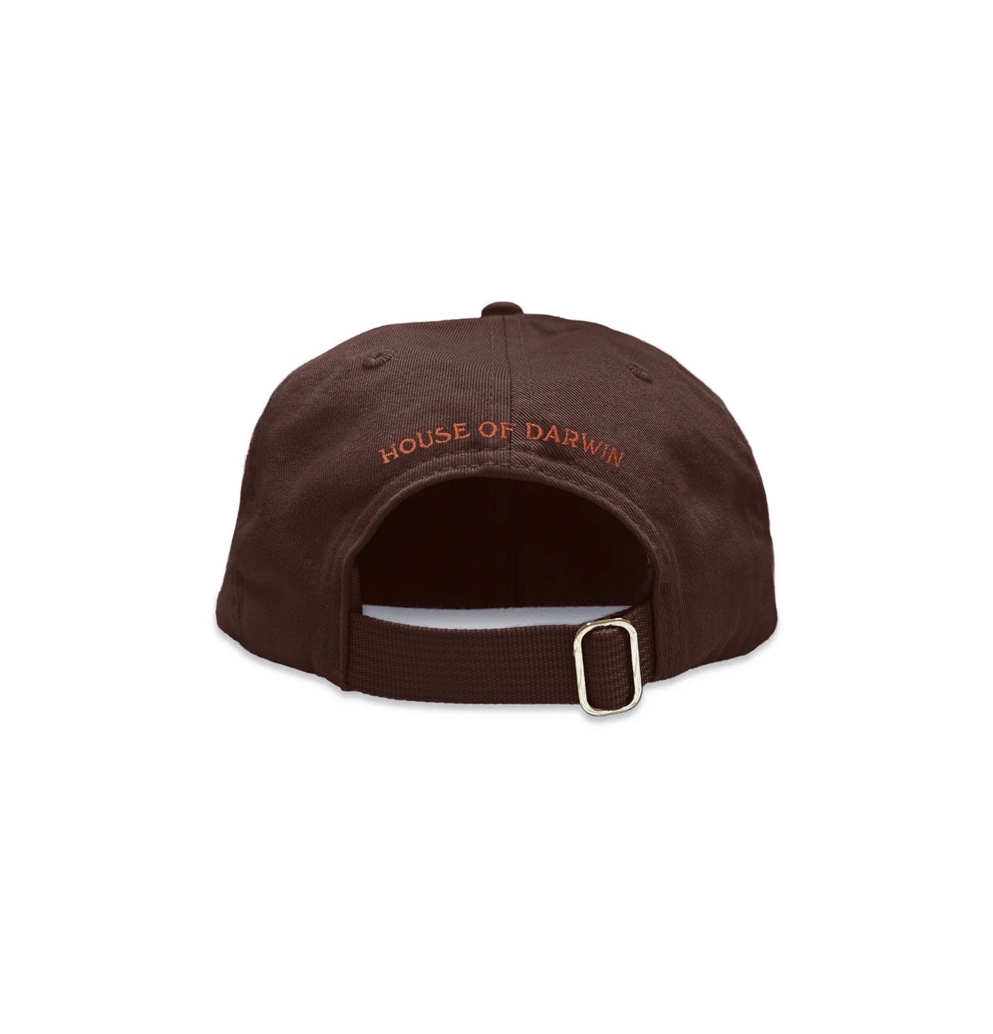 brownhatback.jpeg