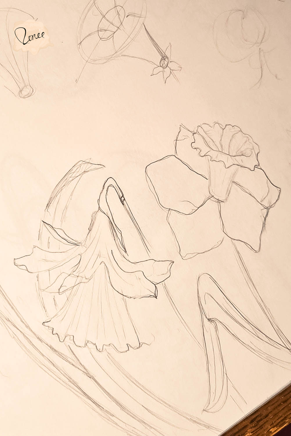 Sketchbook page with daffodils roughly sketched in pencil..