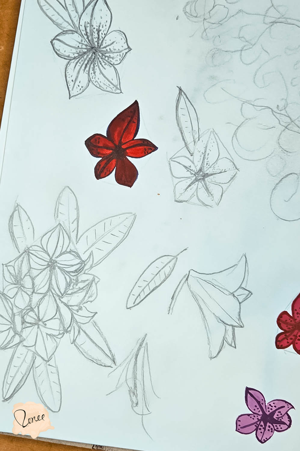 Sketchbook sits askew, with an in progress rhododendron sketches in red and purple guoache, and in pencil