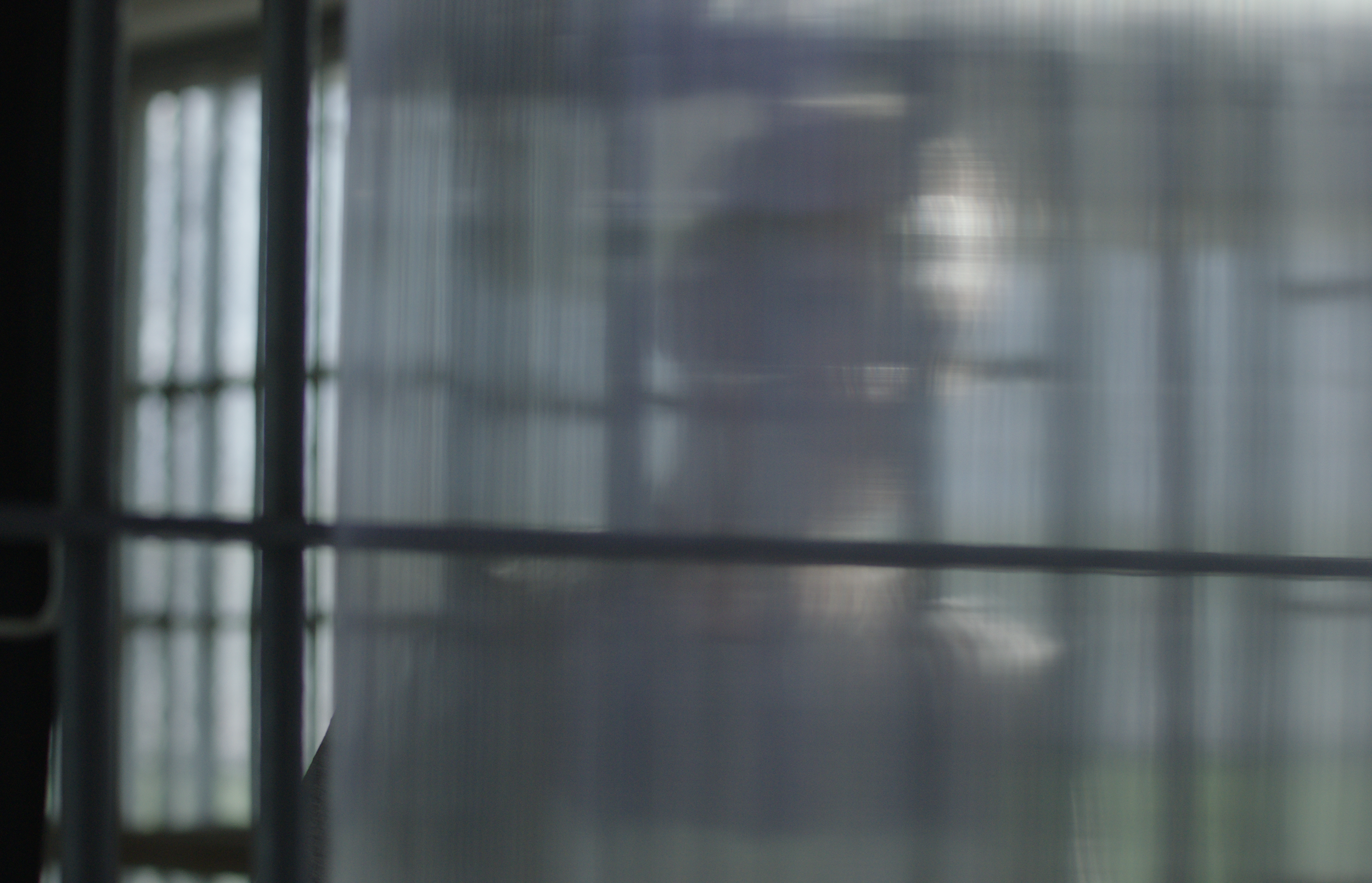 Whole Film String.00_02_15_22.Still005.png