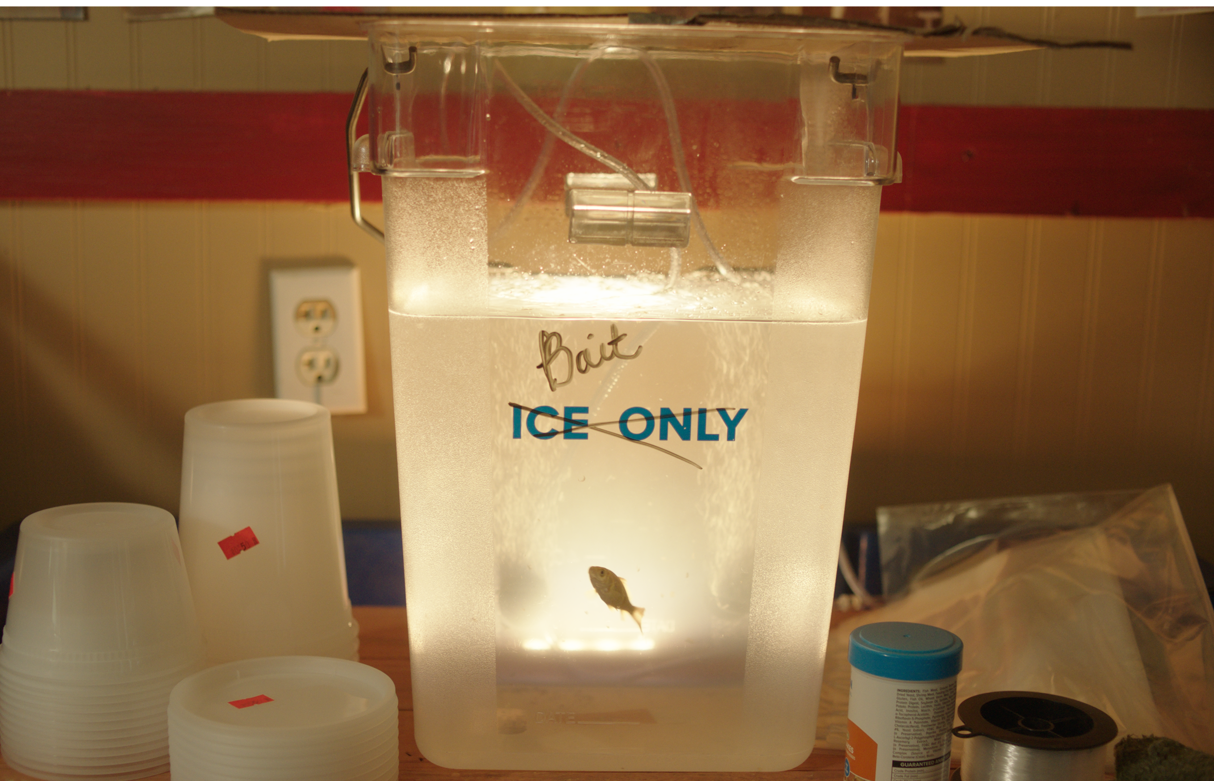 Whole Film String.00_05_26_11.Still006.png