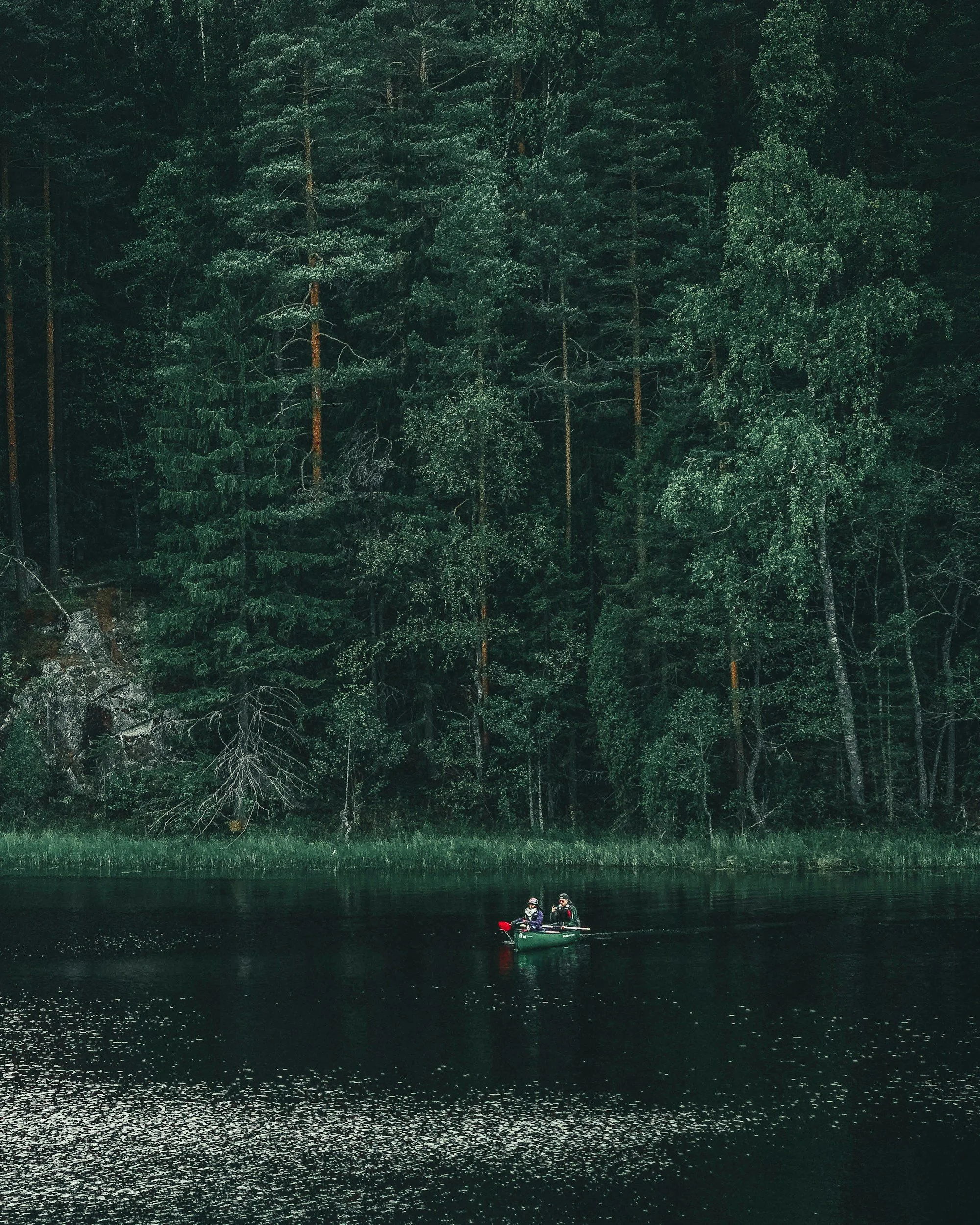 Couple kayaking together, symbolizing teamwork, communication, and growth in couples therapy intensives