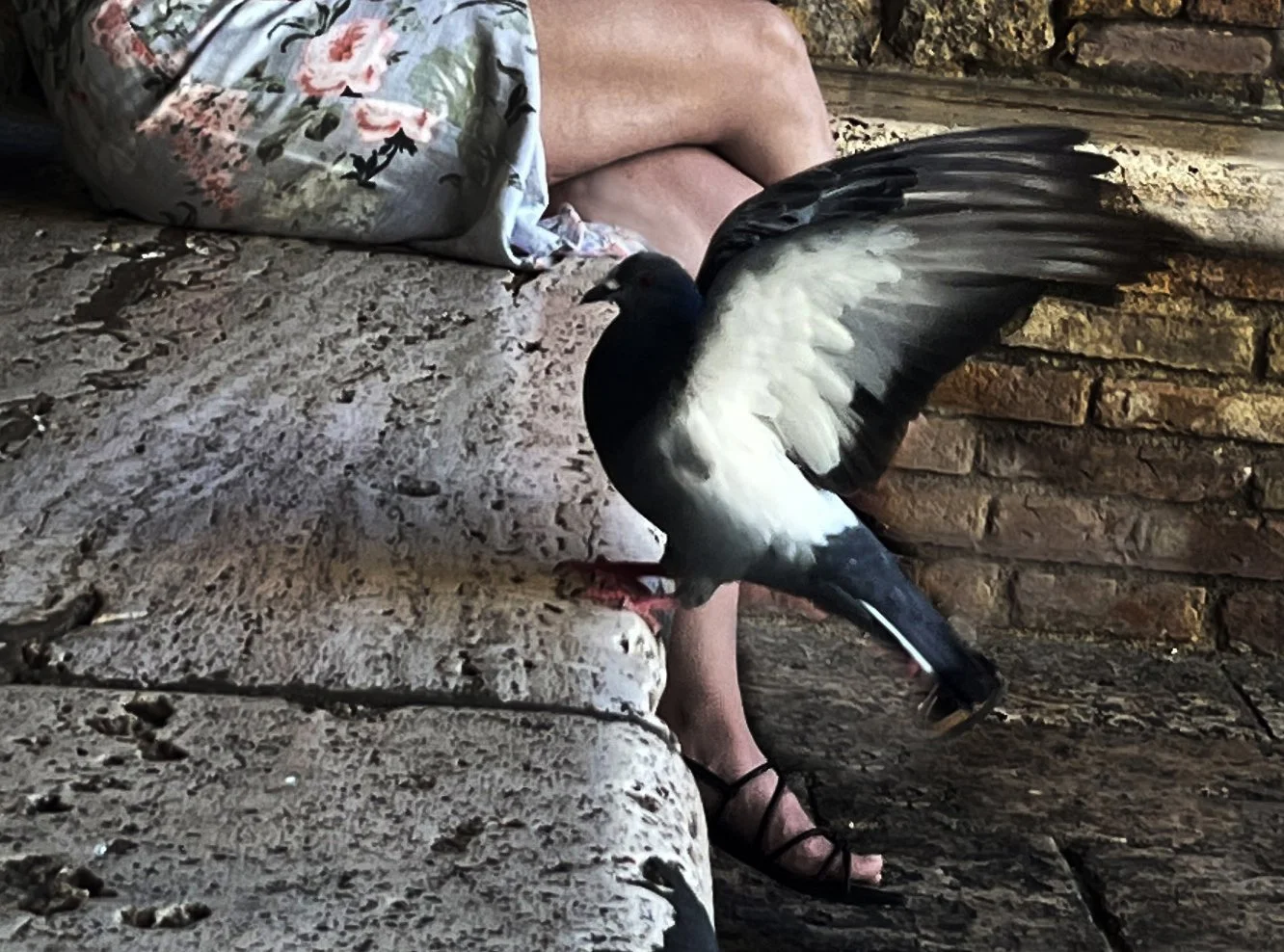 Reduced  Street  101 copy 3.jpg