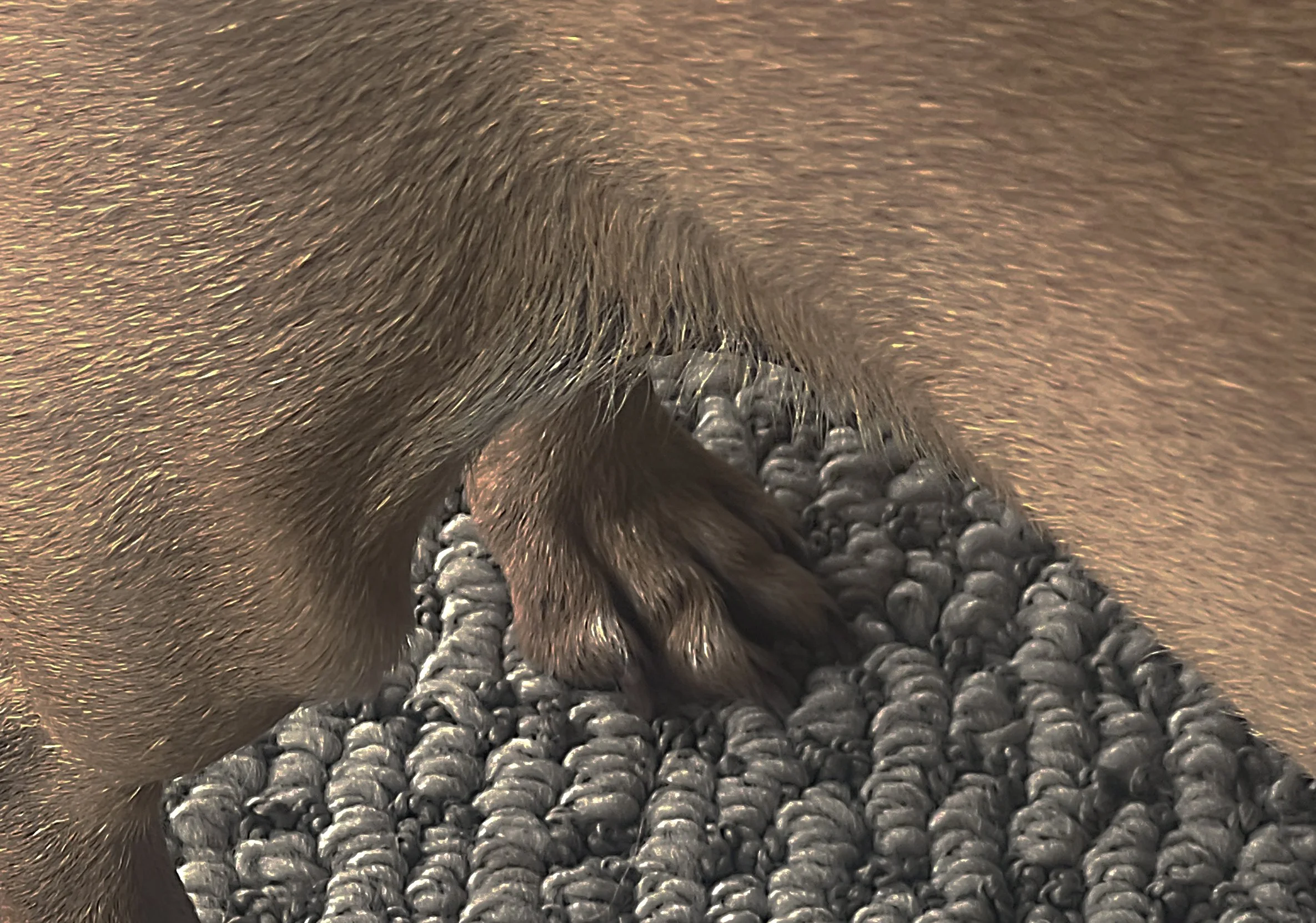 2026 III 02 copy.jpg