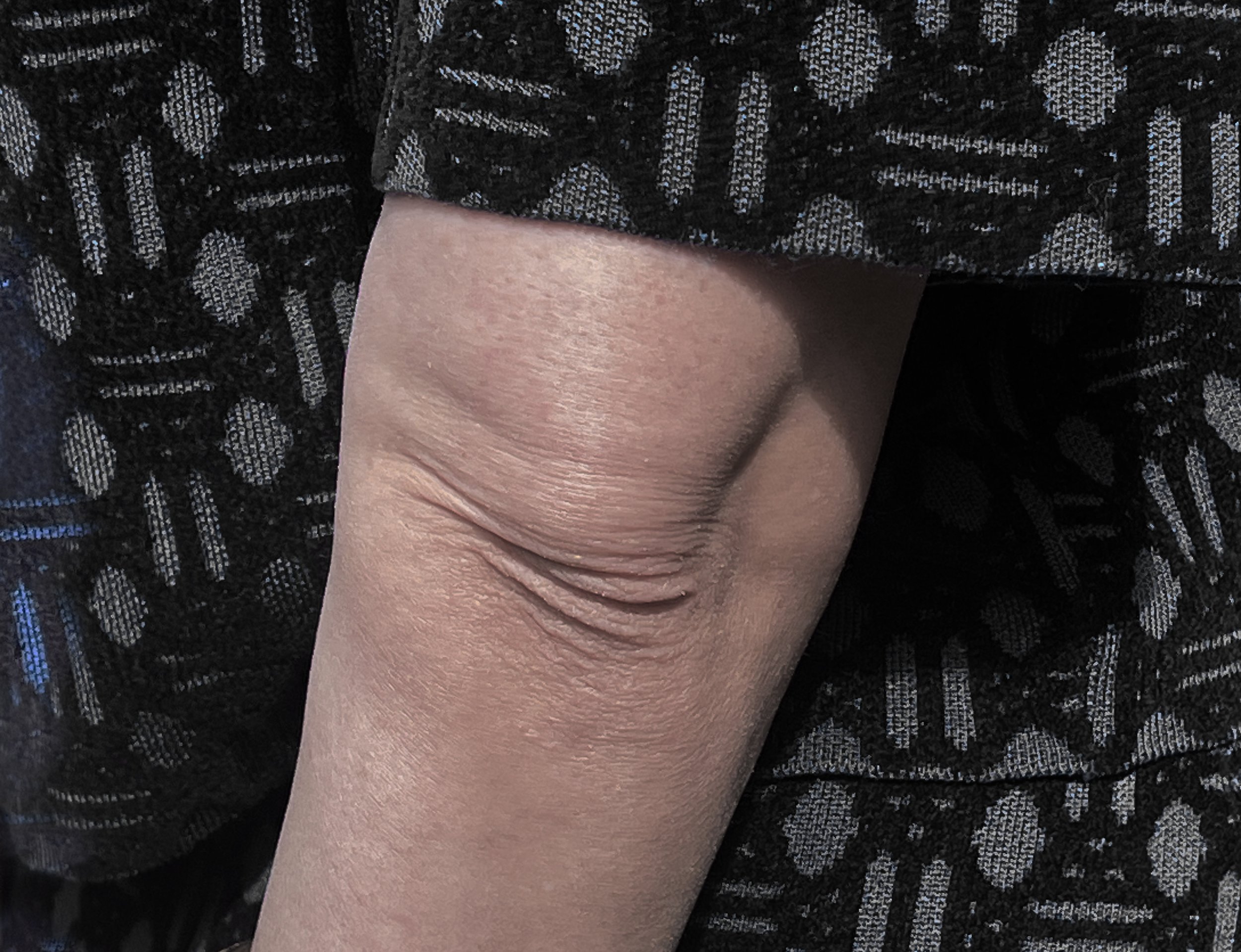 body 2026 III 03 copy.jpg