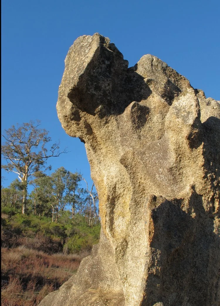 Rock, John Forrest National Park