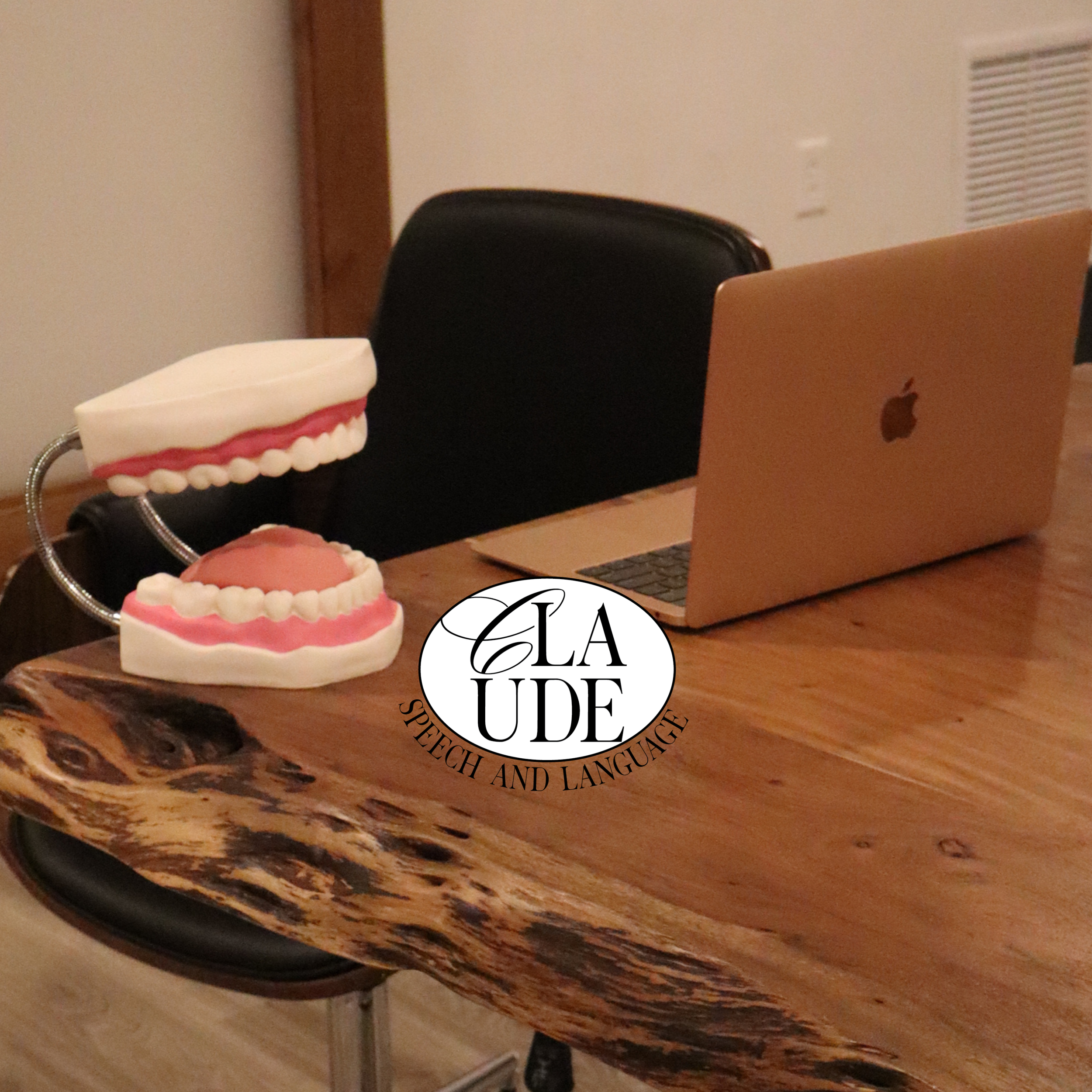 School Speech Therapy vs. Private Speech Therapy: What Parents Should Know