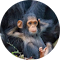 unnamed (17).png